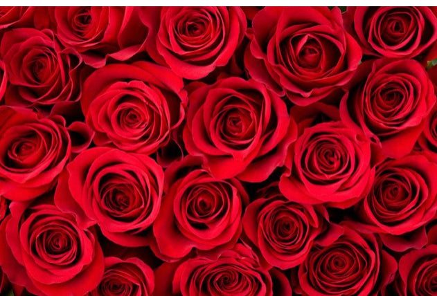 Roses Subscriptions